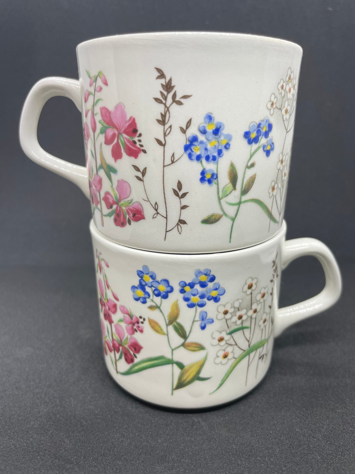 1970’s J & G MEAKIN country lane teacups/mugs (SET of 2)
