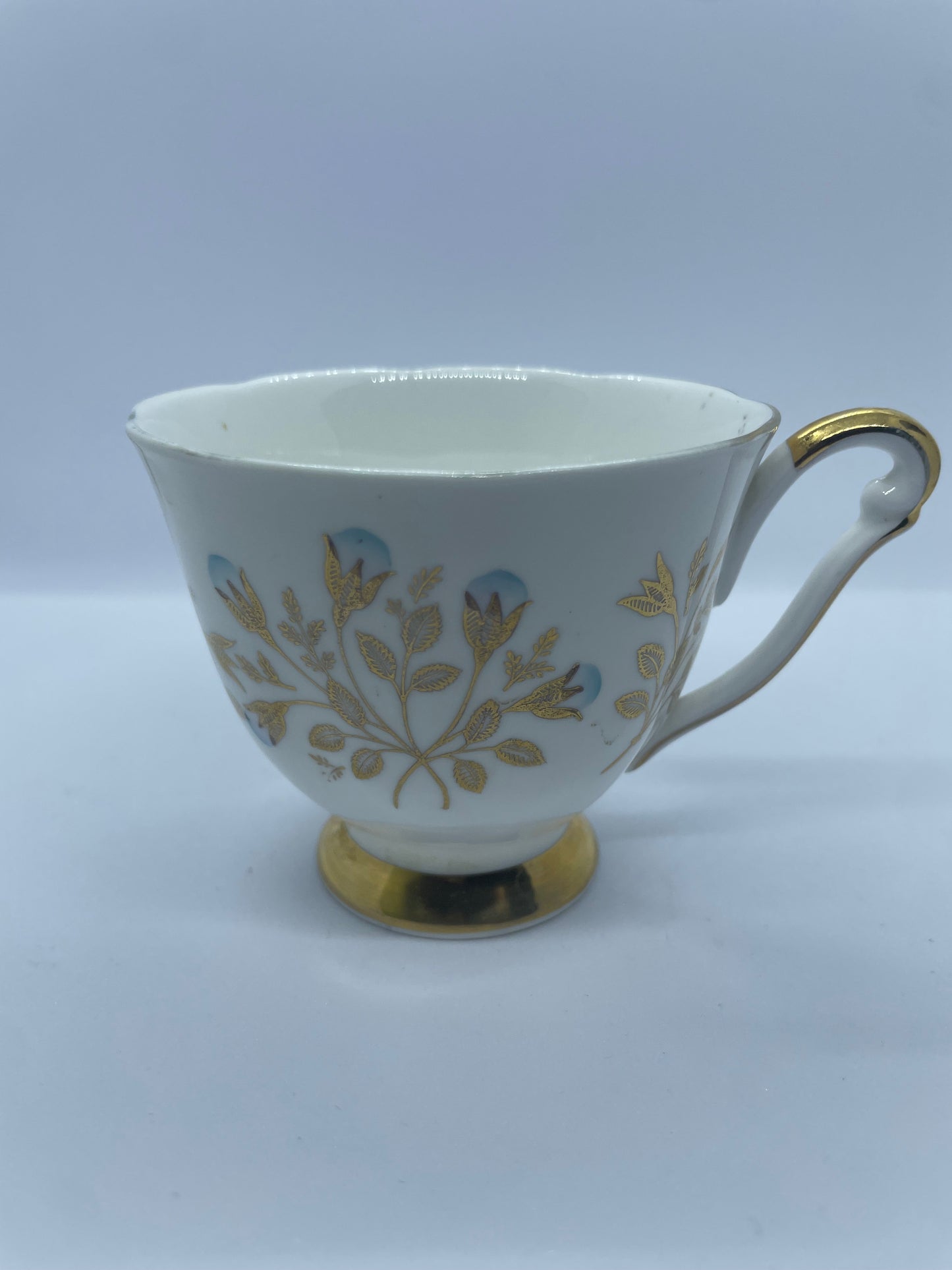 QUEEN ANNE teacup