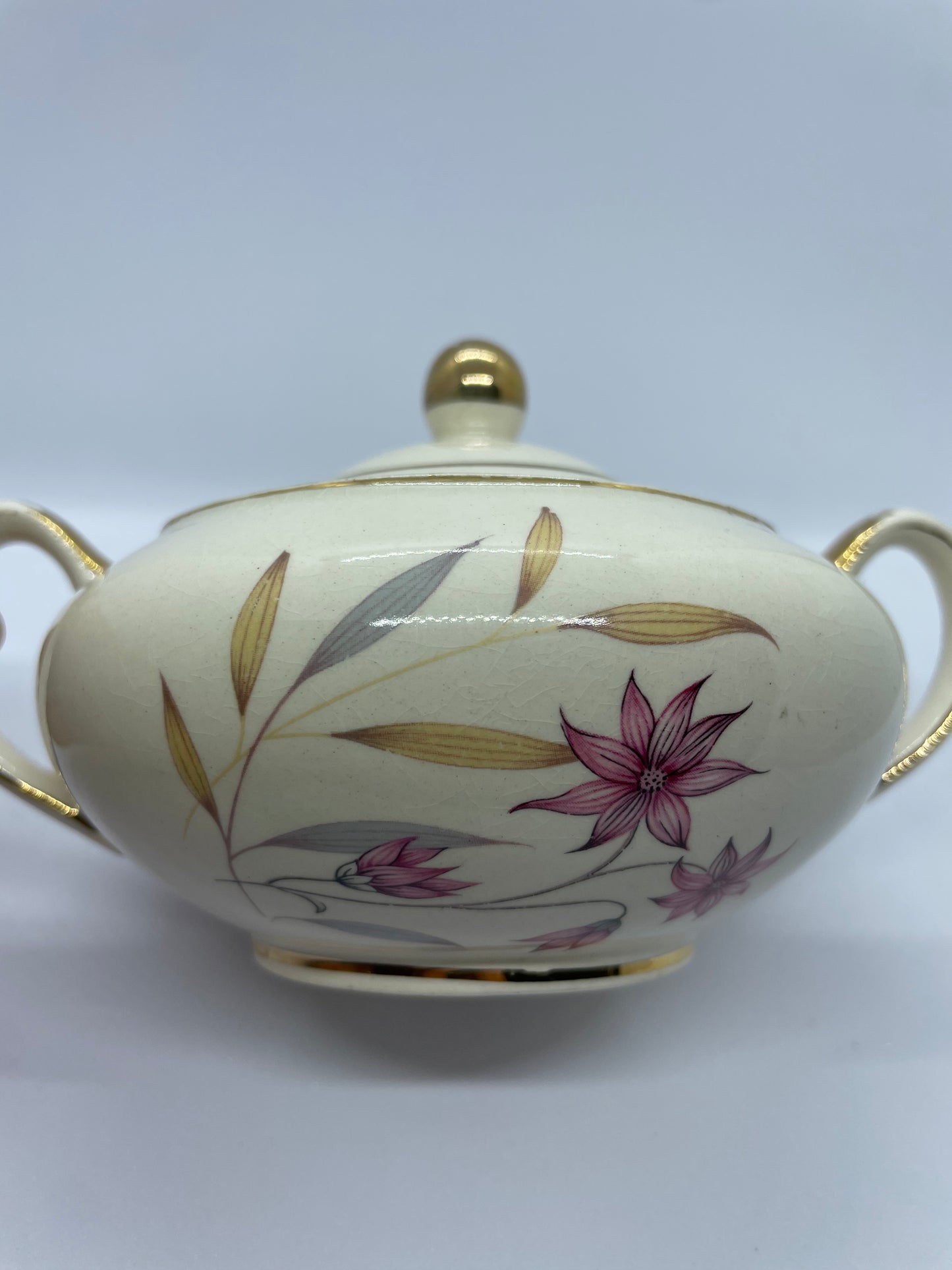 QUEEN ANNE meadow SUGAR POT