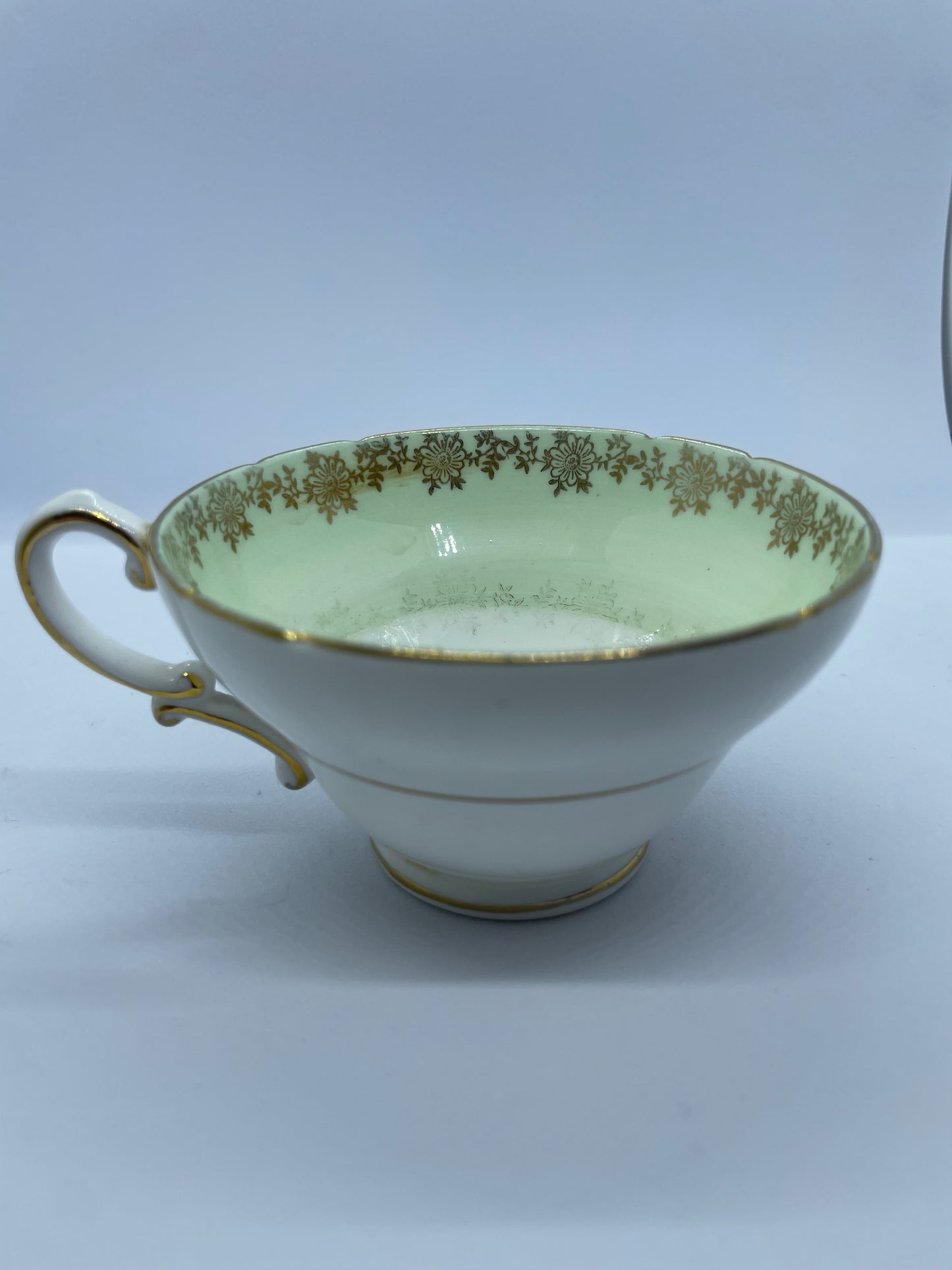 STAFFORDSHIRE porcelain teacup